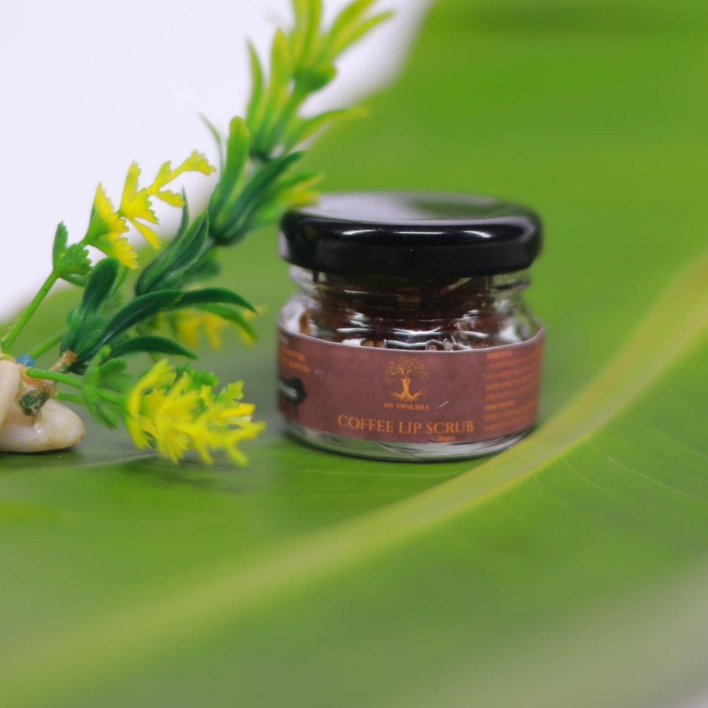 Coffee Lip Scrub (20g)