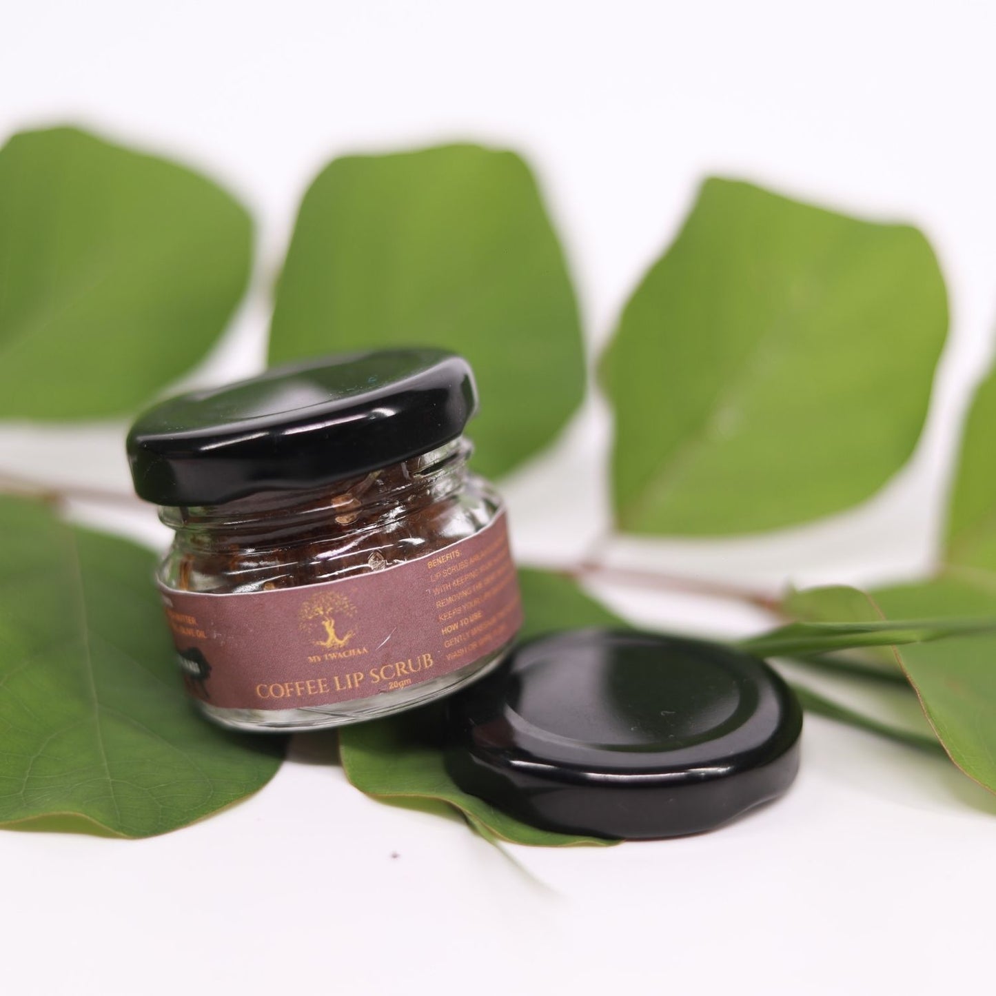 Coffee Lip Scrub (20g)