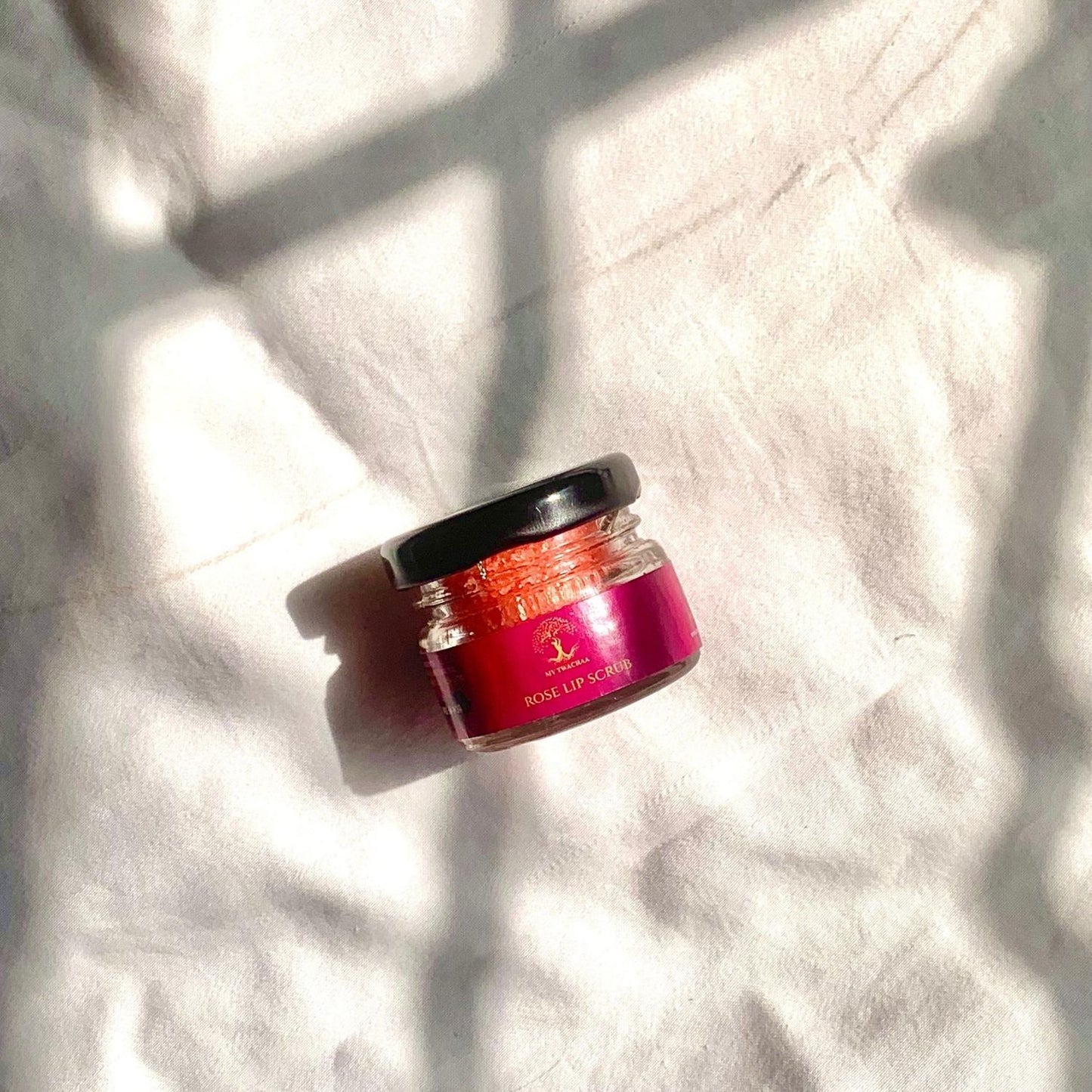 Rose Lip Scrub(20g)