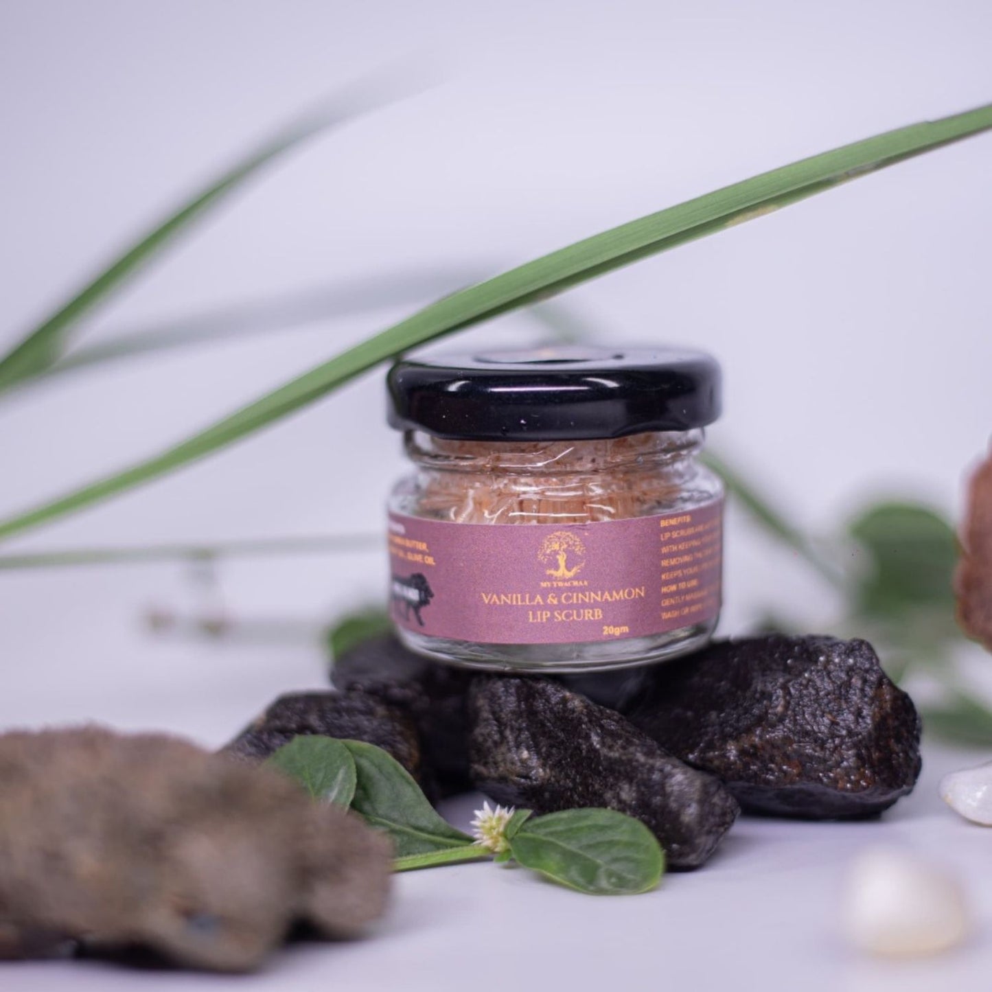 Vanilla & Cinnamon Lip Scrub(20g)